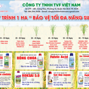 quy-trinh-lam-lua-1ha-bao-ve-toi-da-nang-suat